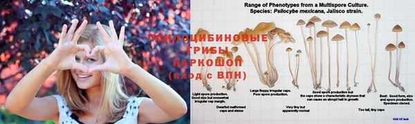 ешки Балахна