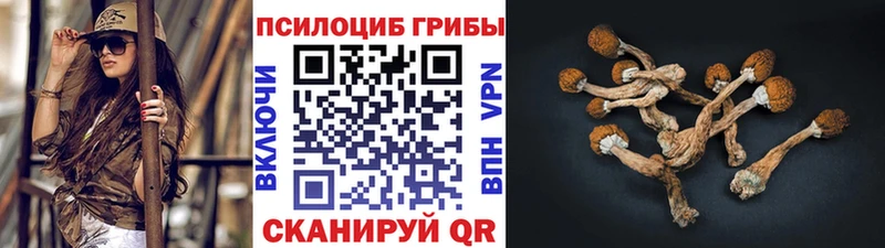 Галлюциногенные грибы Magic Shrooms  Купить где  Большой Камень 