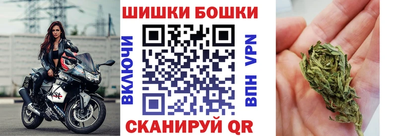 Бошки Шишки ГИДРОПОН  Купить  Большой Камень 